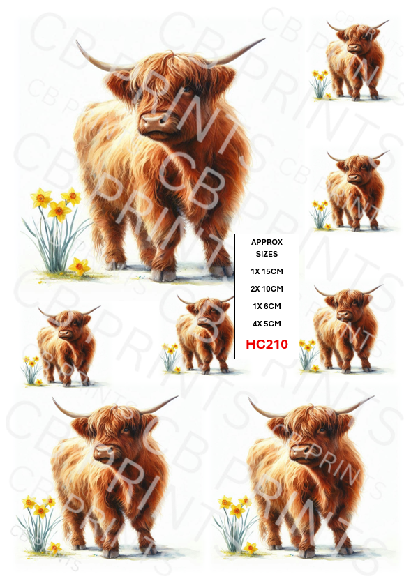 Highland Cow Decoupage Print HC210 | Mulberry Paper