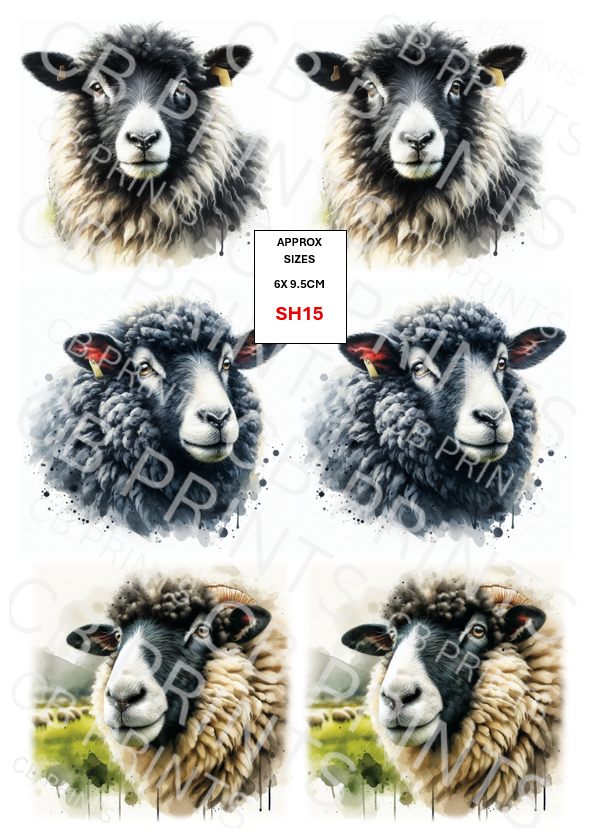 Sheep Decoupage Print SH15 | Mulberry Paper