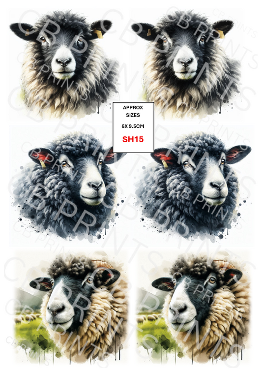 Sheep Decoupage Print SH15 | Mulberry Paper