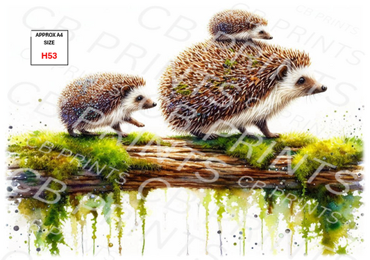 Hedgehog Decoupage Print H53 | Mulberry Paper
