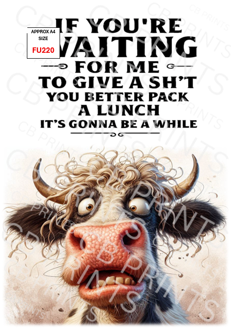 Funny Decoupage Print FU220 | Mulberry Paper