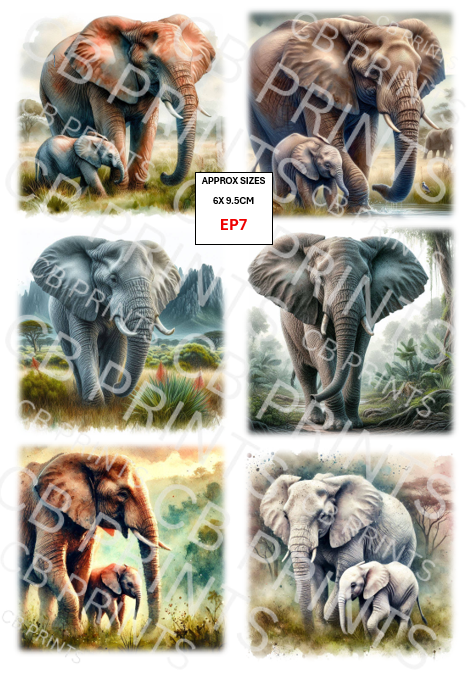Elephant Decoupage Paper EP7 – Mulberry Paper Print
