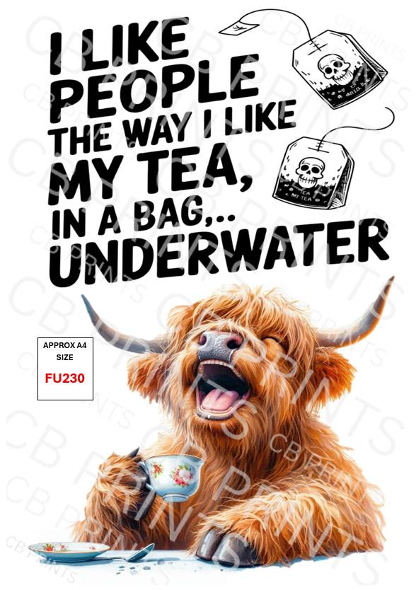 Funny Decoupage Print FU230 | Mulberry Paper
