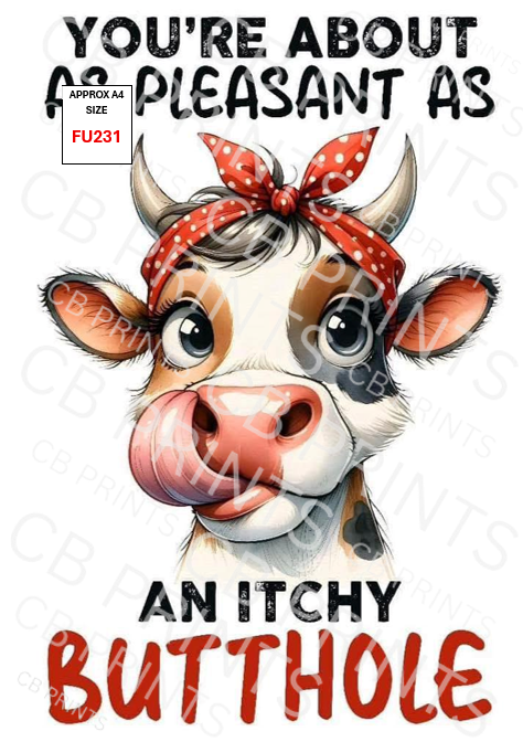 Funny Decoupage Print FU231 | Mulberry Paper