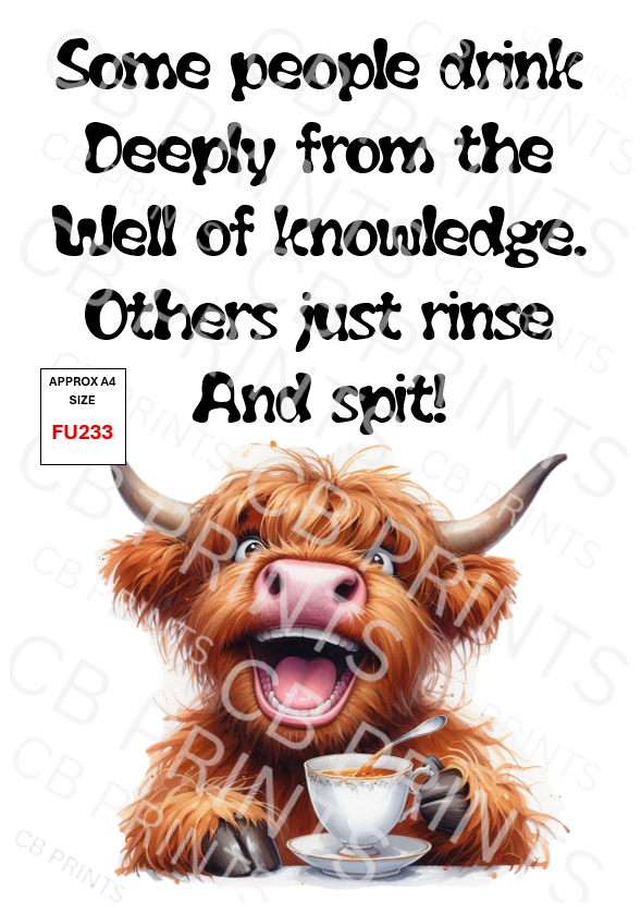 Funny Decoupage Print FU233 | Mulberry Paper