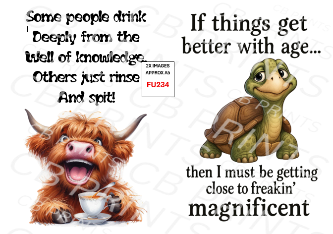 Funny Decoupage Print FU234 | Mulberry Paper