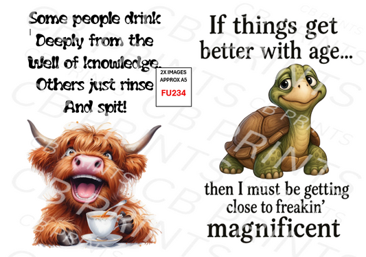 Funny Decoupage Print FU234 | Mulberry Paper
