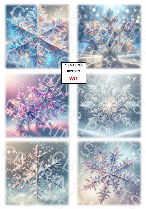 Winter snowflake Decoupage Print Wi1 | Mulberry Paper