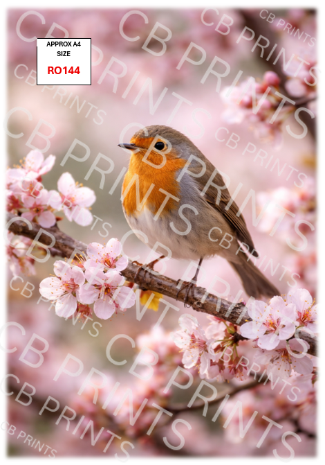Robin Decoupage Print RO144 | Mulberry Paper