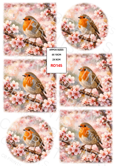 Robin Decoupage Print RO145 | Mulberry Paper