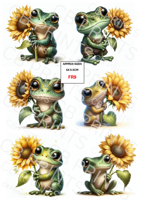 Frog Decoupage Paper FR9 – Mulberry Paper Print