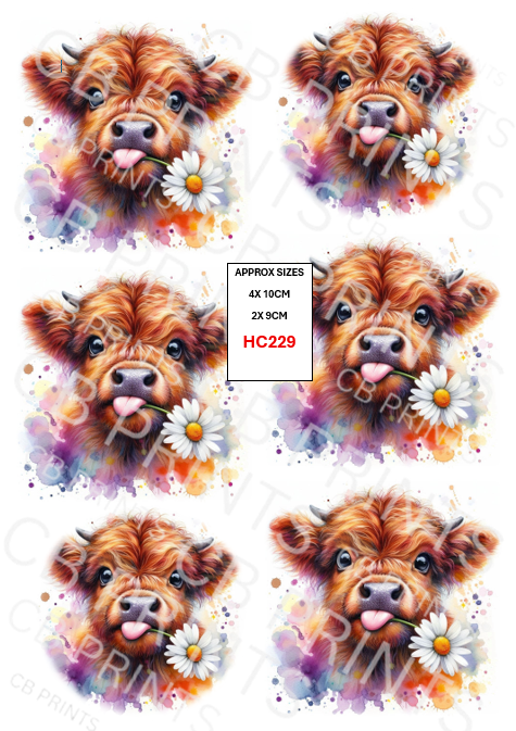 Highland Cow Decoupage Print HC229 | Mulberry Paper