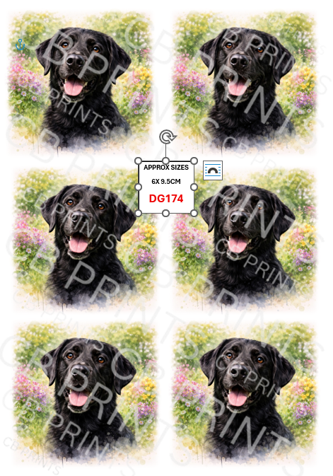 Labrador Dog Decoupage Print DG174 | Mulberry Paper