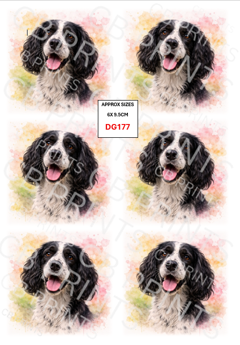 Spaniel Dog Decoupage Print DG177 | Mulberry Paper