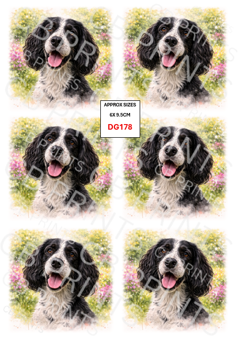 Spaniel Dog Decoupage Print DG178 | Mulberry Paper