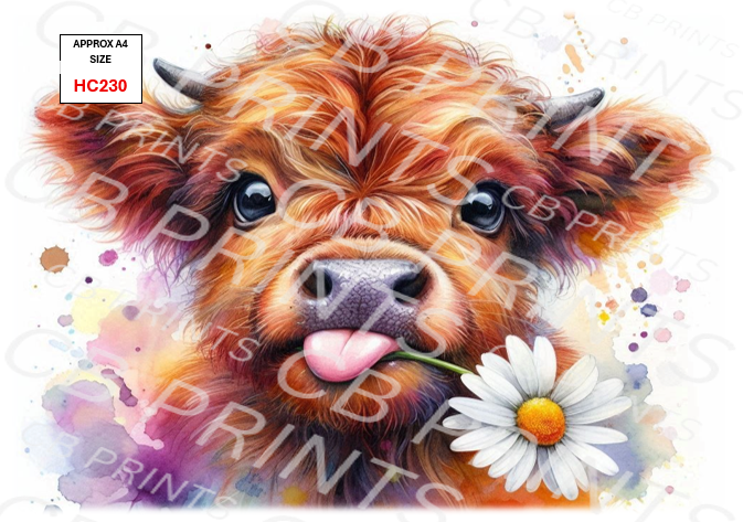 Highland Cow Decoupage Print HC230 | Mulberry Paper