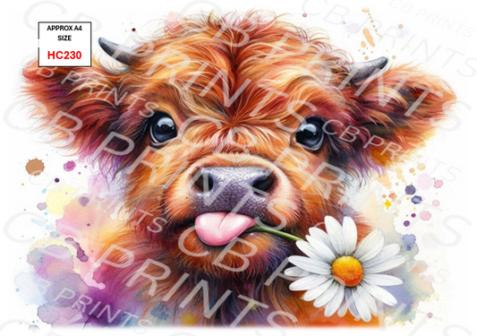 Highland Cow Decoupage Print HC230 | Mulberry Paper