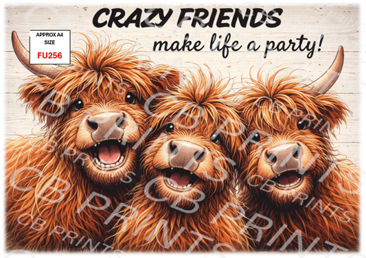 Funny Decoupage Print FU256 | Mulberry Paper