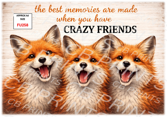 Funny Decoupage Print FU258 | Mulberry Paper