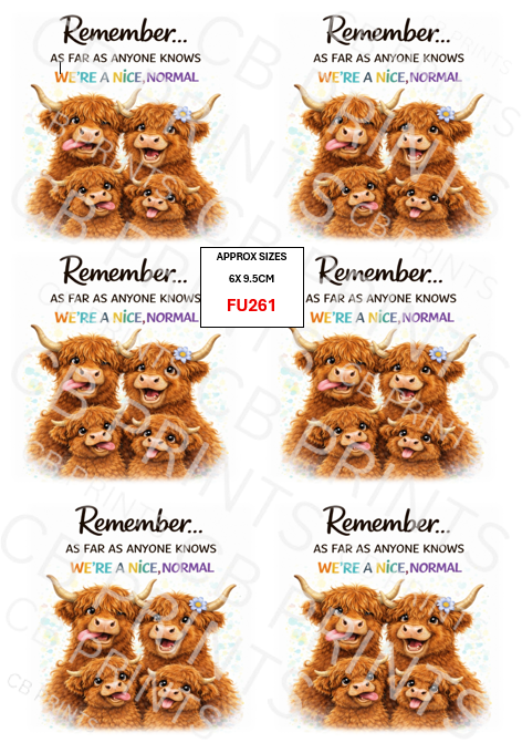 Funny Decoupage Print FU261 | Mulberry Paper