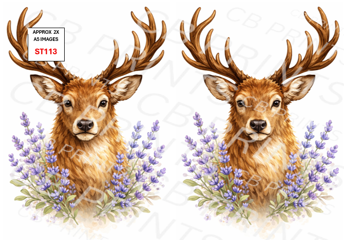 Stag Decoupage Print ST113 | Mulberry Paper