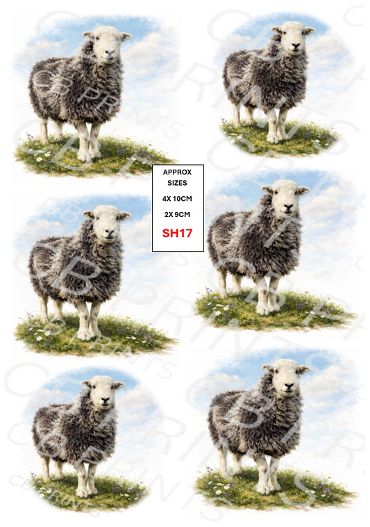 Herdwick Sheep Decoupage Print SH17 | Mulberry Paper