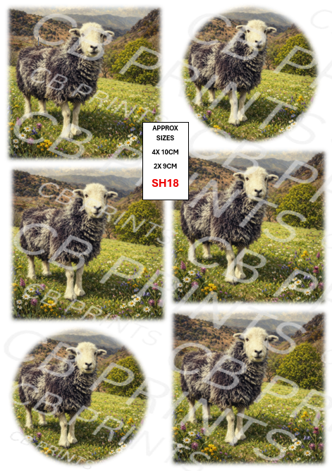 Herdwick Sheep Decoupage Print SH18 | Mulberry Paper