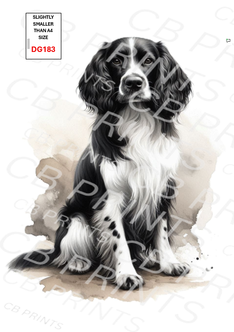 Spaniel Dog Decoupage Print DG183 | Mulberry Paper