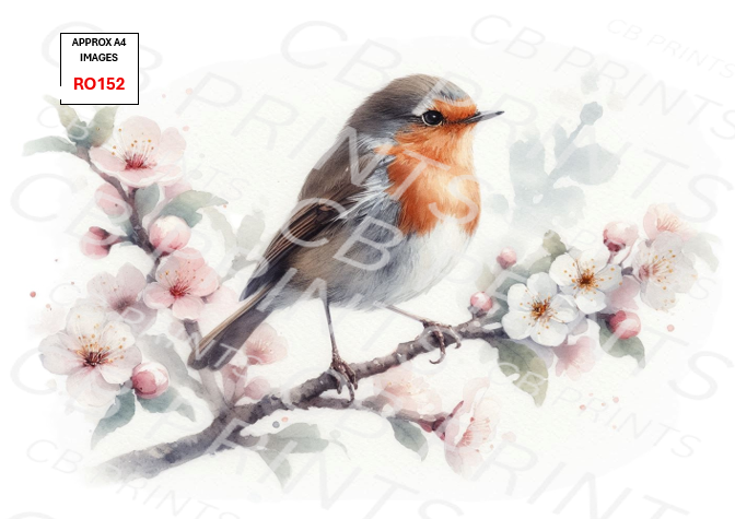 Robin Decoupage Print RO152 | Mulberry Paper