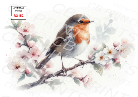 Robin Decoupage Print RO152 | Mulberry Paper