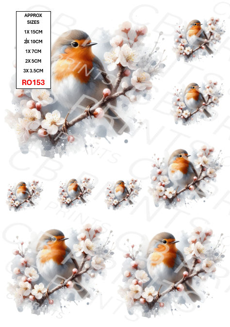 Robin Decoupage Print RO153 | Mulberry Paper