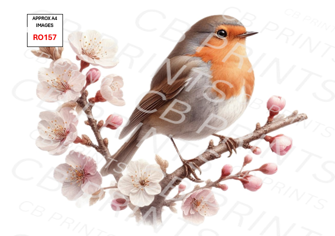 Robin Decoupage Print RO157 | Mulberry Paper