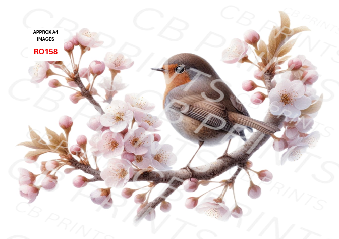 Robin Decoupage Print RO158 | Mulberry Paper