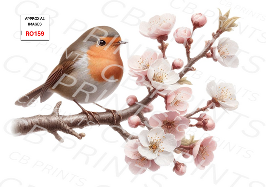 Robin Decoupage Print RO159 | Mulberry Paper