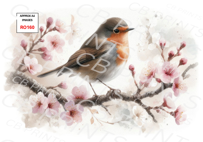 Robin Decoupage Print RO160 | Mulberry Paper