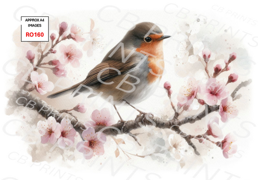 Robin Decoupage Print RO160 | Mulberry Paper