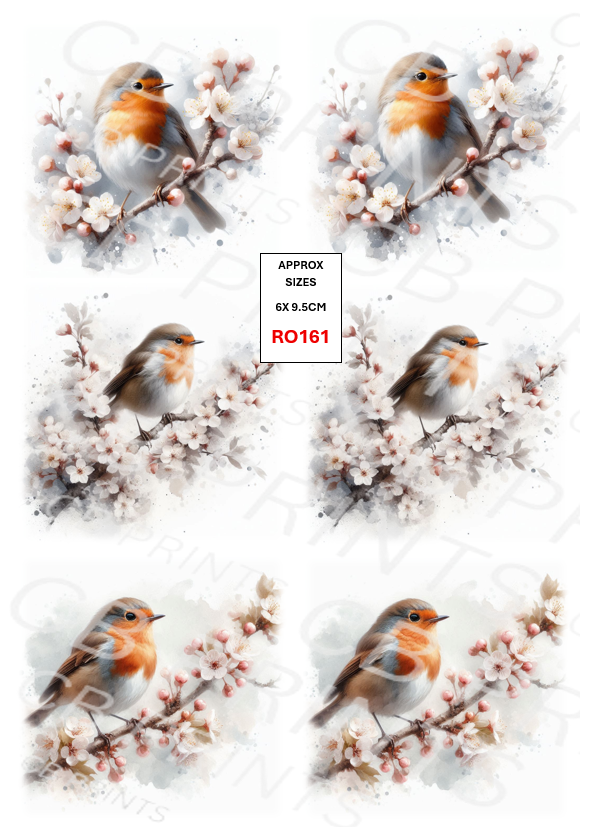 Robin Decoupage Print RO161 | Mulberry Paper