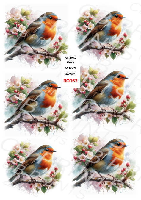 Robin Decoupage Print RO162 | Mulberry Paper