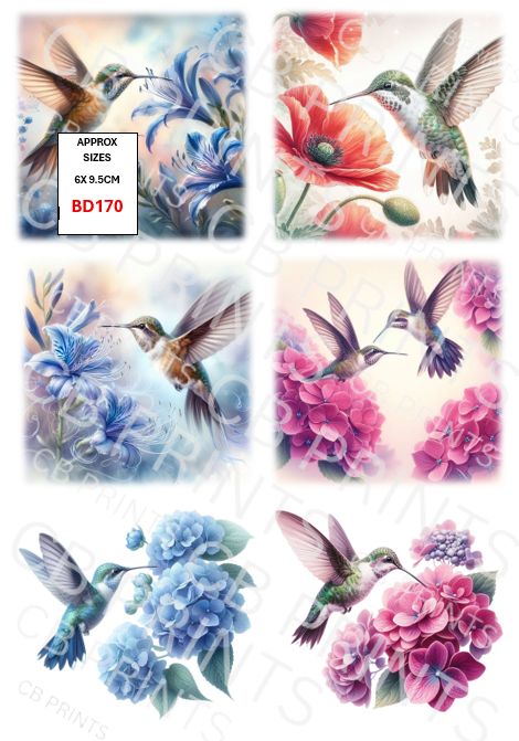 Hummingbird Decoupage Print BD170 | Mulberry Paper