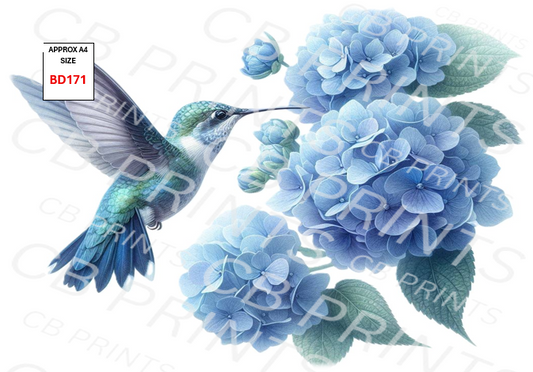 Hummingbird Decoupage Print BD171 | Mulberry Paper