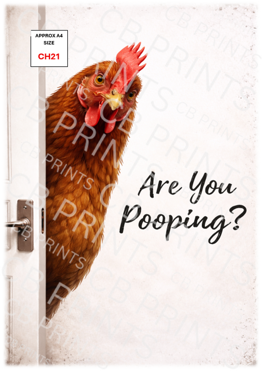 Funny chicken design CH21