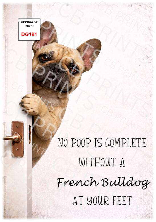 Funny French buldog design DG191