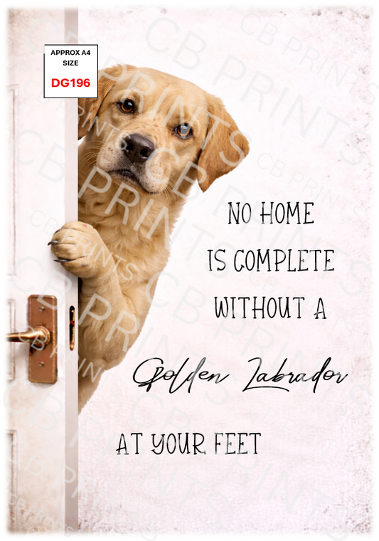 Dog design DG196