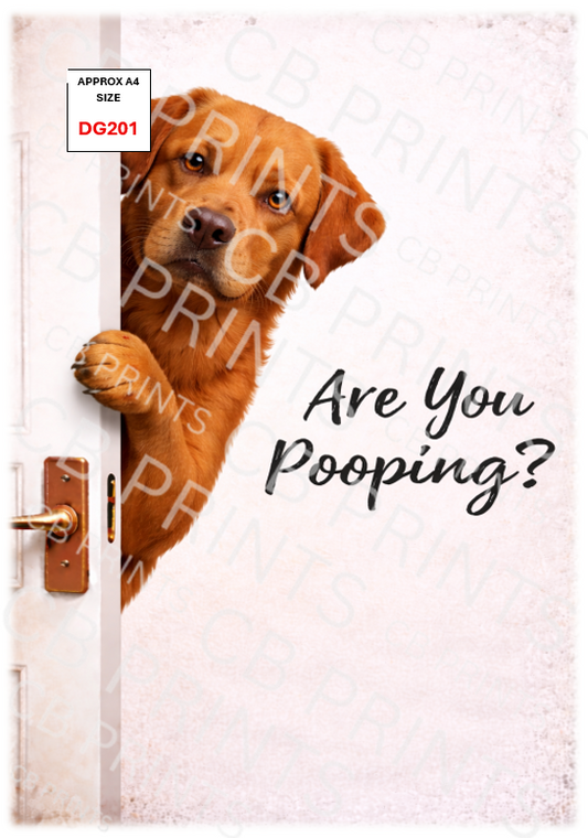 Funny dog design DG201