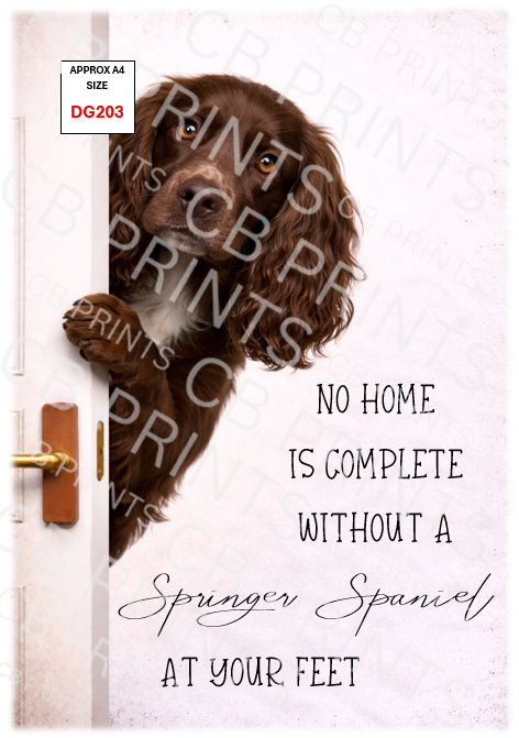 Dog design DG203