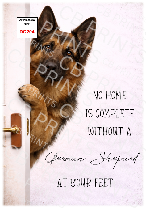 Dog design DG204
