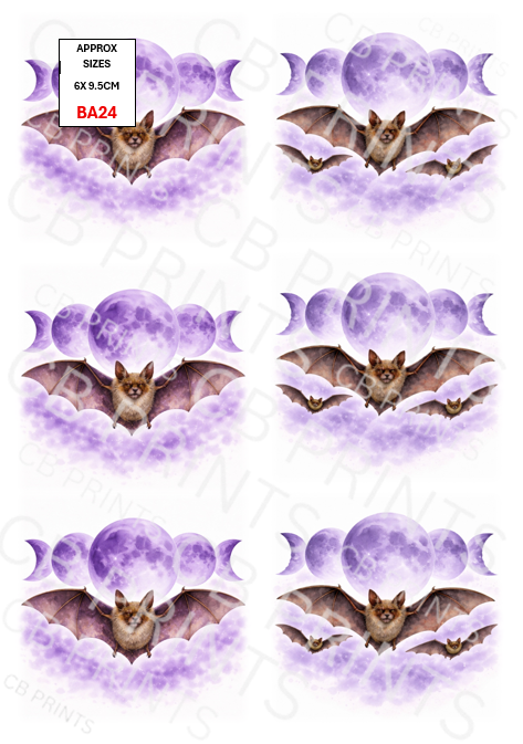 Bat design BA24