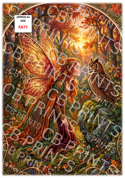 Fairy and owl design FA71