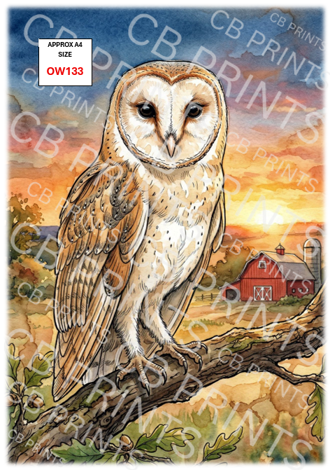 Owl design OW133