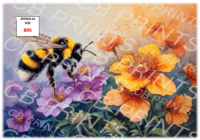 Bee design B95